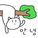 젤라또당