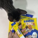 우리고양이 | 고양이 츄르 추천🐈‍⬛🐾 까다로운 우리 고양이가 인정한 삼색츄 솔직 후기💗