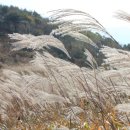 삼례약수 이미지