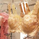 모조에스핀롯데노원