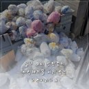 창환경 | 알고 보니 창환경이 화성폐기물 처리 숨은 고수더라고요