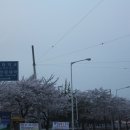 용연사길 이미지