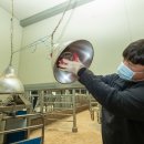 국립축산과학원 한우연구소 이미지