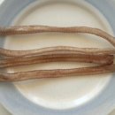 펫얌(Petyam) 네이버블로그