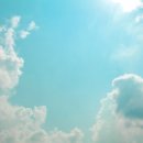 천도장묘 이미지