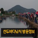 선두바다캠핑장 네이버블로그