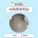 푸르지오캐슬1단지아파트경로당 | 청주 줄눈 업체 사직동 푸르지오캐슬 공사 후기 I 컬러가 핵심 케라 폭시 폴리 중에서 선택