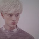 실리(sily)