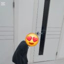 루멘음악학원 네이버블로그