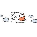 더조은동물병원 이미지