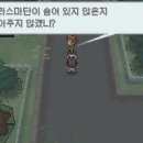화이트드래곤 이미지