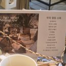 홍대 두피스파 &#39;헤어사파리&#39; 힐링되는 천연 두피케어 시간