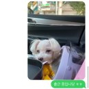 행복만줄개 이미지