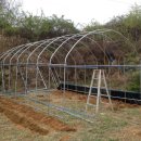 정림농장 이미지