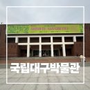 국립대구박물관 북문 야외 | 아이와 함께 방문한 국립대구박물관 특별전 대동여지도(+설명절 문화행사)