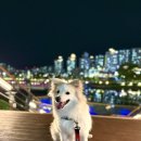 옥정호수도서관 | 양주 옥정호수공원 야경 산책하기 좋은 곳