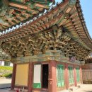 곡성-247 이미지