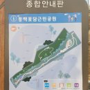 동백꽃담근린공원 이미지