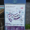 까비애견 | [정선] 하이원리조트 힐콘도 펫클럽 펫룸 강아지 2마리와 주말투숙 후기 (내돈내산)