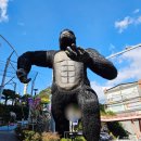 안심산길 | 여수 놀거리 유월드가 빠질수 없죠 플렉스 콤보 리얼후기