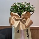 일등안마원 이미지