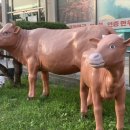 남원축산물명품관