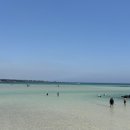 표선해수욕장(샤워장) 이미지