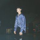 호시 이미지