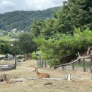 경상북도산림과학박물관(휴관) 이미지