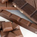 해운대 24시 동물의료원 이미지