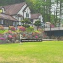 대명노르웨이숲 이미지