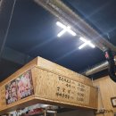 돈굴러오리