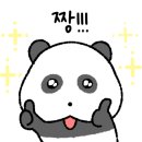 제이미휘트니스 이미지