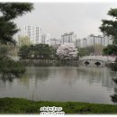 중앙공원.양지마을청구아파트 이미지
