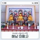 달마스테이 | 해남의 달마산 달마고도 그리고 아름다운 사찰 미황사에서의 답사기
