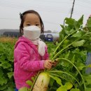 무랑농장 이미지