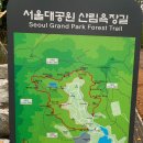 서울대공원 산림욕장 둘레길.. 이미지
