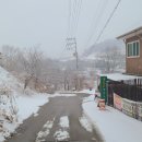 키토산장군두부 이미지