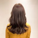 삼전역미용실 어라운드비 헬시시나몬 컬러 염색 후기 &lt;애란수석디자이너&gt;