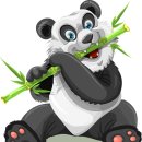 63 피트니스 이미지