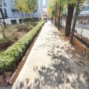 주공공인중개사사무소 이미지