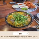 독박 육아 연차 날 찾은 백년광명순대국 오픈런 후기