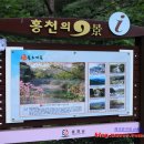 진달래핀풍경