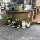 대가야돈불 이미지