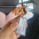 새내기시절 기숙사 룸메칭구칭긔들과 1박2일 포항항🤣나들이를 가다