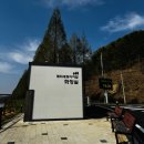 메타세콰이어길 | 아기랑 산책하기 좋은 공주 메타세콰이어길 다녀온 후기