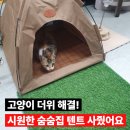대자리 | 고양이 더위 해결! 여름철 시원한 숨숨집 추천, 대자리 텐트 사용 후기