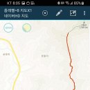 고동치 이미지