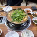 두꺼비호프 이미지