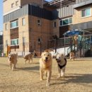 902댕스쿨 이미지